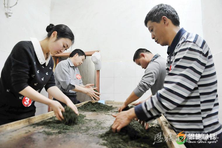 极目新闻丨恩施玉露：一片绿叶的“闯关出圈”之旅(图11)