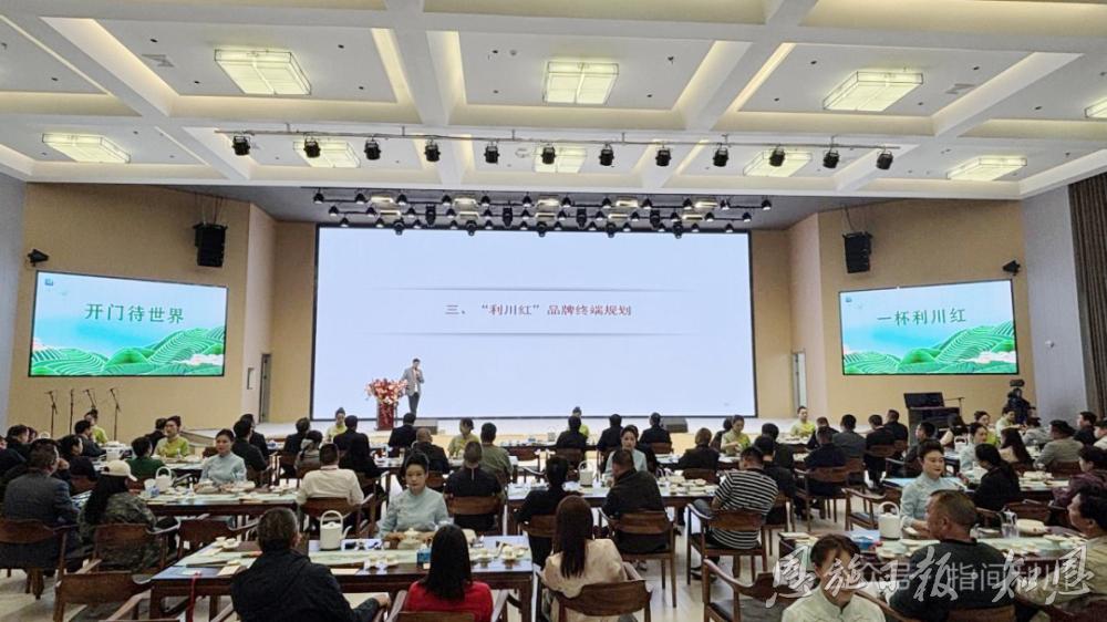 新华社客户端｜签约36亿元“星火星电竞登录斗摇香·利川红”2025茶乡寻亲会举行(图7)
