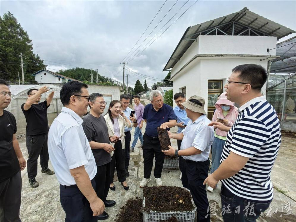 湖北日报丨惊艳！恩施大山里竟然藏有这么多宝贝！农业农业部专门派专家组调研(图1)